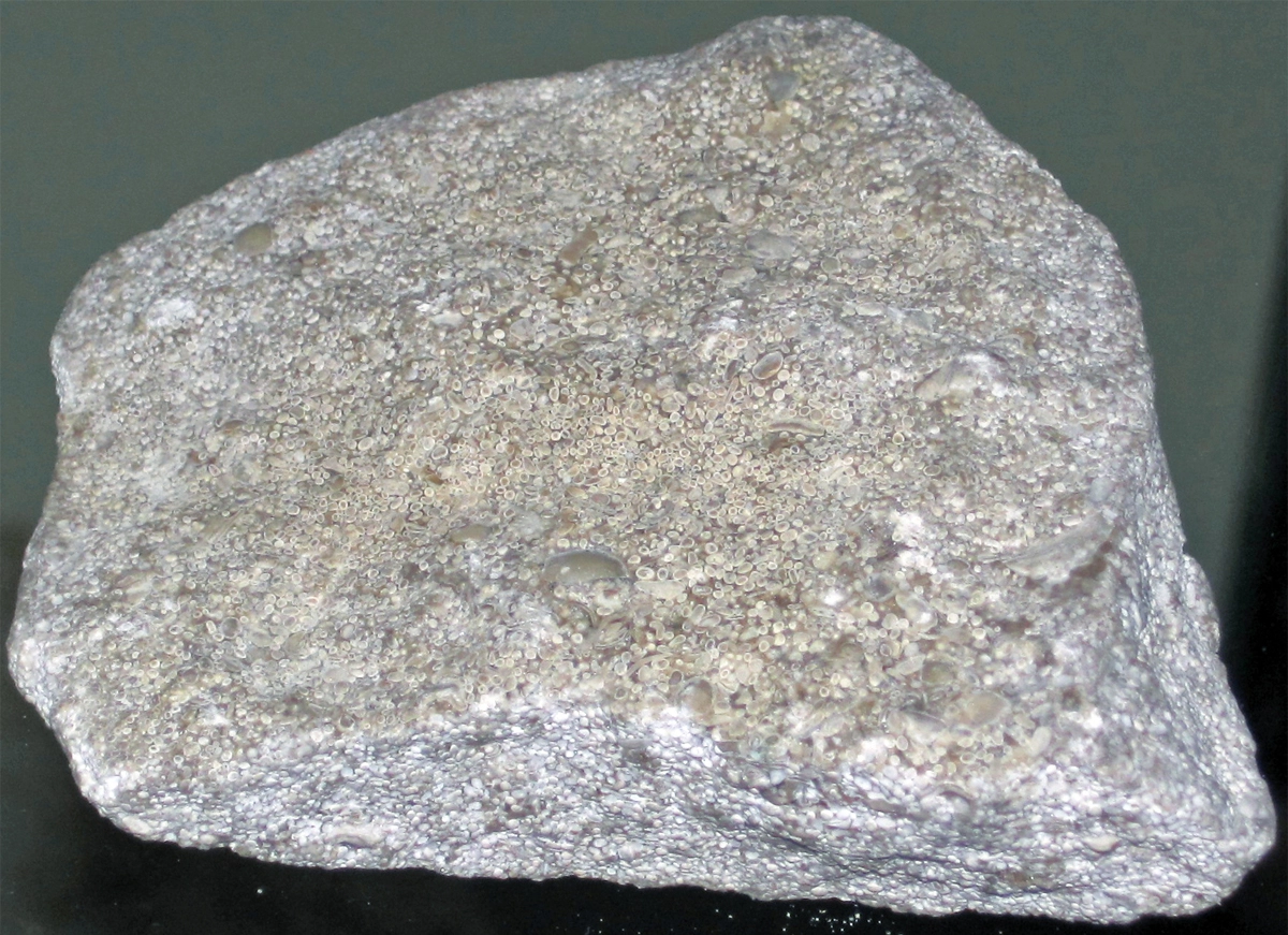 Image of an hard limestone rock