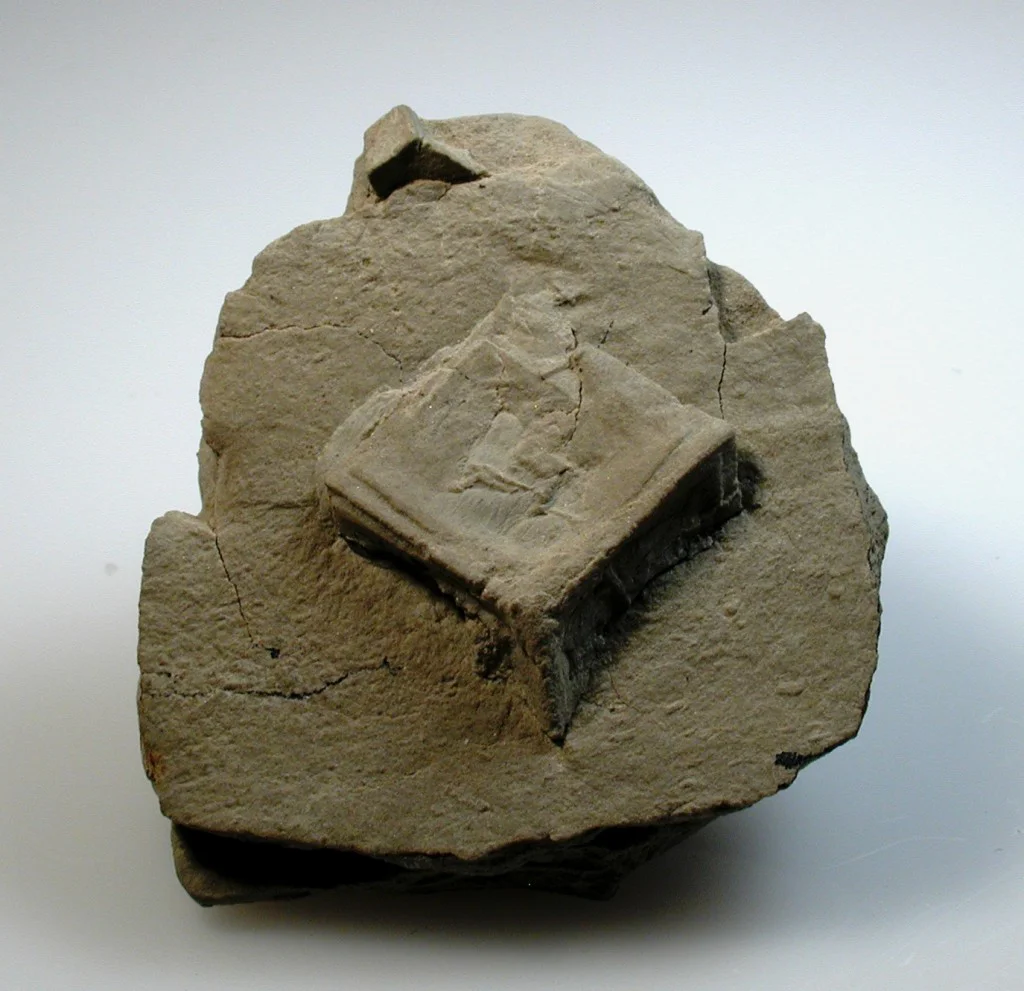 Image of illite mineral