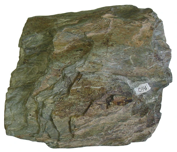 Image of a schist rock