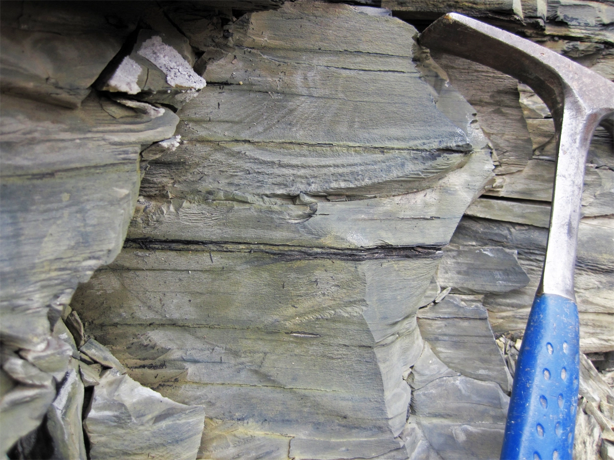 Image of a shale rock